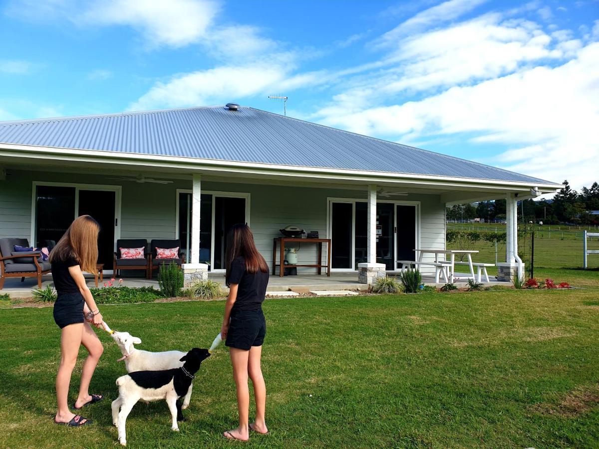 Fig Tree Farm B&B Highvale-Farmstay Near Brisbane! Ngoại thất bức ảnh