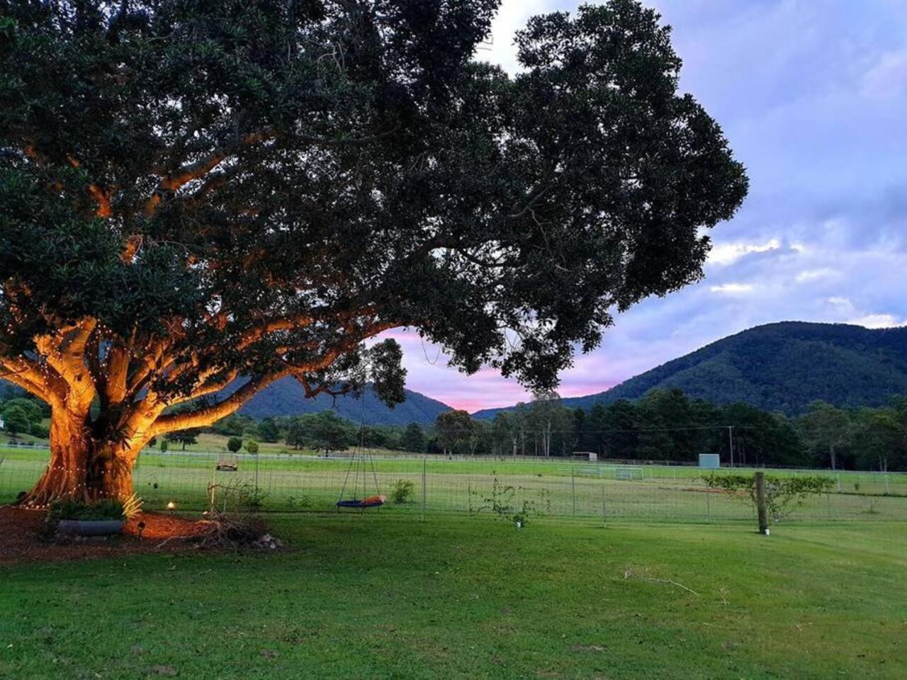 Fig Tree Farm B&B Highvale-Farmstay Near Brisbane! Ngoại thất bức ảnh
