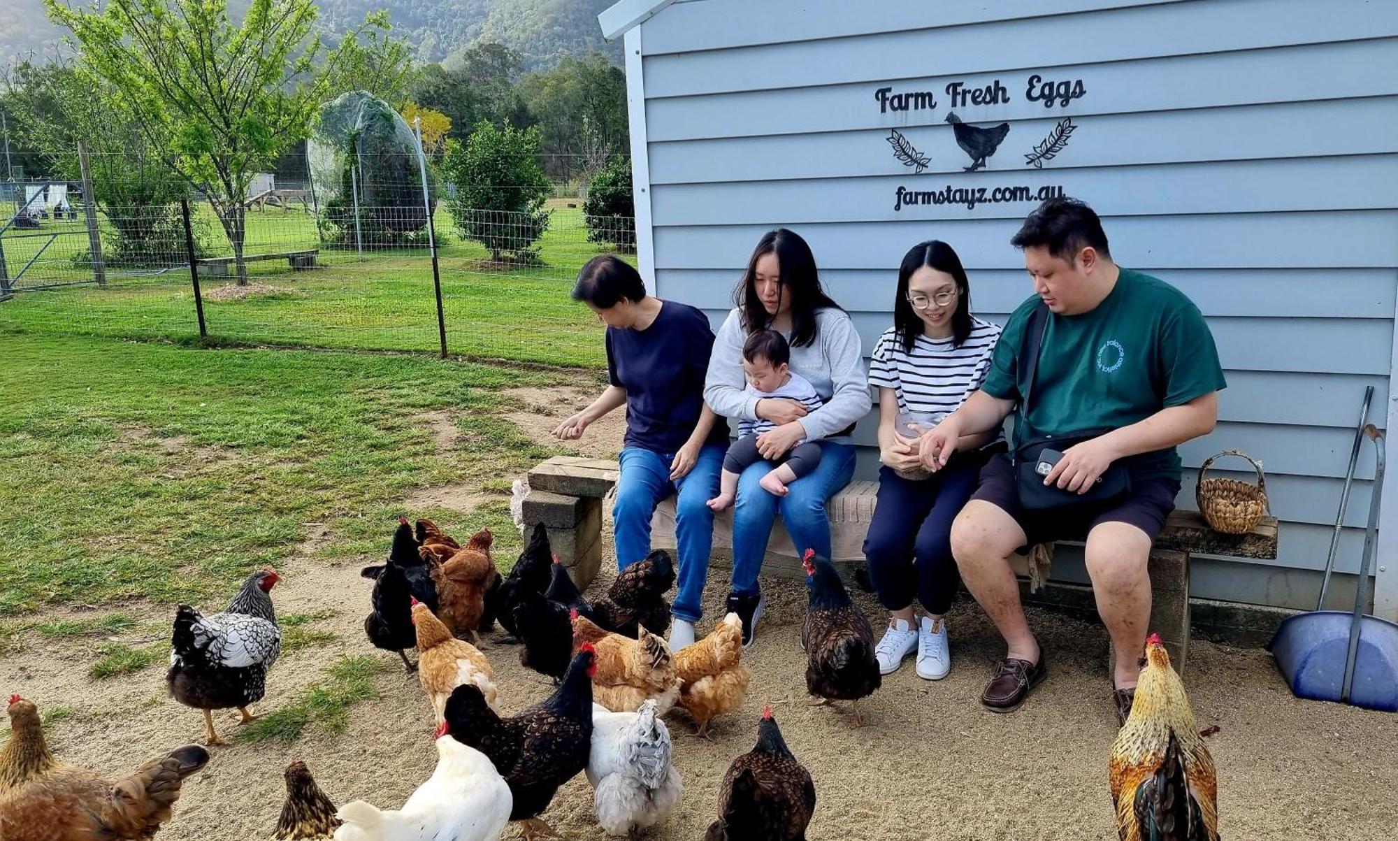 Fig Tree Farm B&B Highvale-Farmstay Near Brisbane! Ngoại thất bức ảnh
